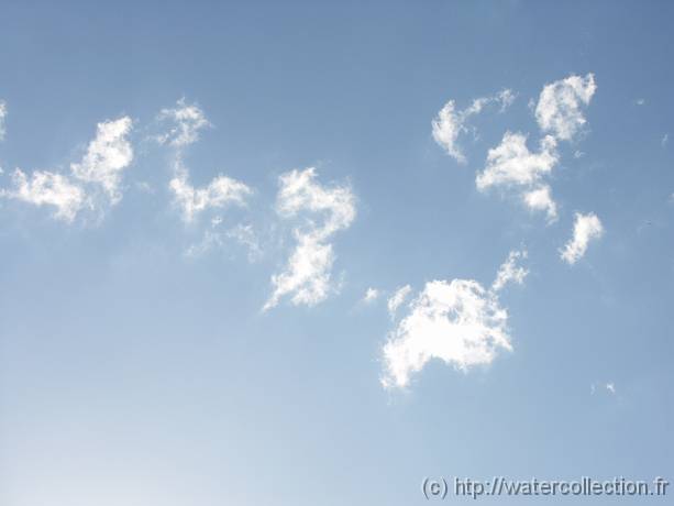 2004-08-20 18-38-13 Nature 80,0mm 1_400_eme F7,1 